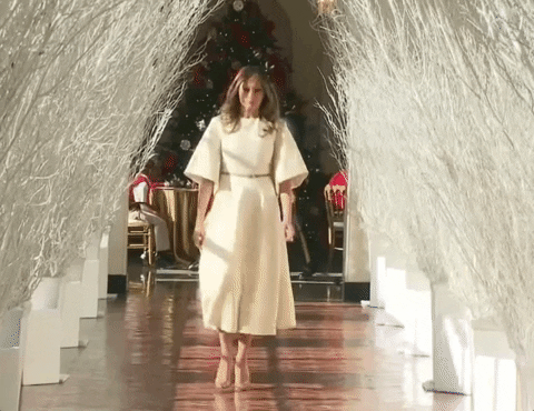 Melania Trump meets with AI education task force