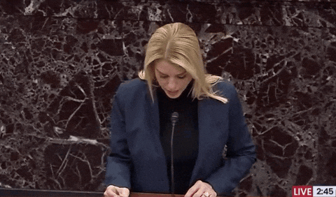 Pam Bondi accuses Sen. Blumenthal of lying about military service during heated hearing