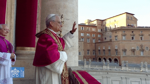 Pope Leo questions what it means to be pro-life